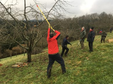 Aide à l’école d’agriclture